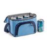 cooler bag